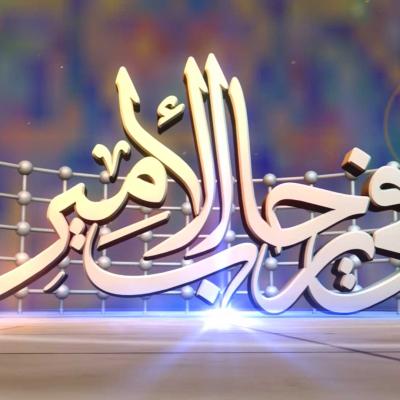 الندوات والتغطيات التلفزيونية