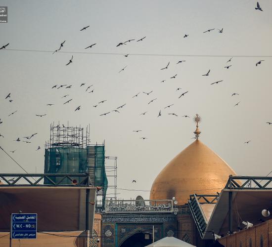 قال الامام علي (عليه السلام ) : تفتّح أبواب السماء عند نزول الغيث ، وعند الزحف ، وعند الاَذان ، وعند قراءة القرآن ، ومع زوال الشمس ، وعند طلوع الفجر.