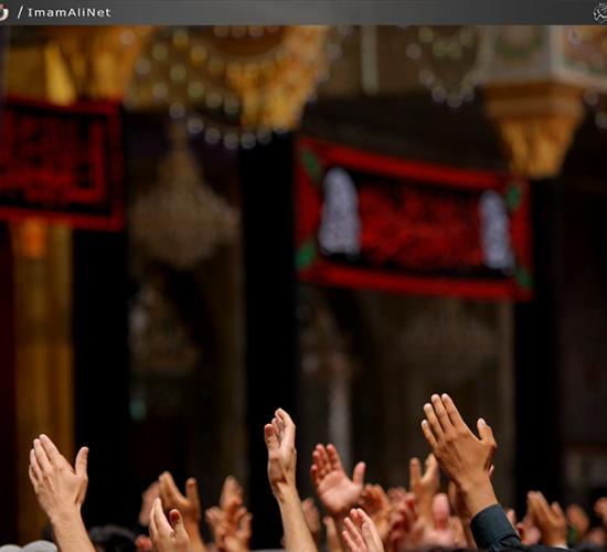 تقرير مصور : المواكب المعزية تجدد العزاء بذكرى شهادة الامام موسى بن جعفر الكاظم سلام الله عليه 