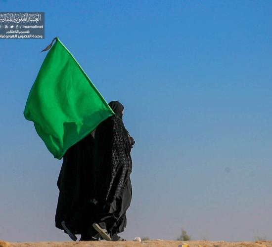 تقرير مصور : جموع الزائرين تزحف إلى مرقد أمير المؤمنين (عليه السلام) لإحياء ذكرى وفاة النبي الأعظم (صلى الله عليه وآله وسلم) 
