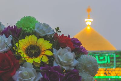 السلام عليك ياا امير المؤمنين علي ابن ابي طالب (عليه السلام )
