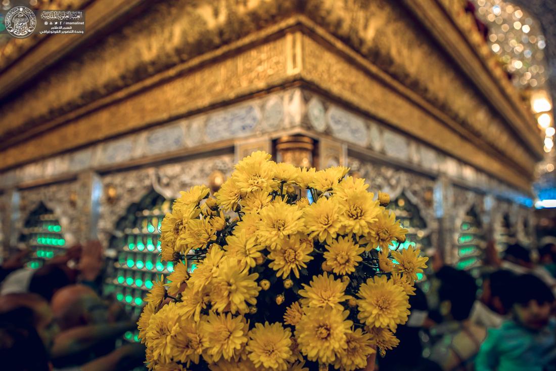  تزيين الضريح المطهر بالورود بمناسبة مولد النبي الاكرم محمد (صلى الله عليه وآله وسلم) | 
