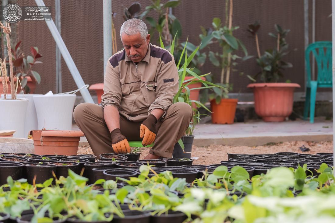 مشتل العتبة العلوية المقدسة.. خدمات تنافسية لخدمة مواطني النجف الأشرف | 