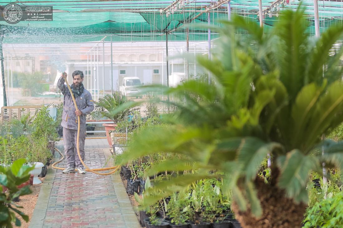 مشتل العتبة العلوية المقدسة.. خدمات تنافسية لخدمة مواطني النجف الأشرف | 