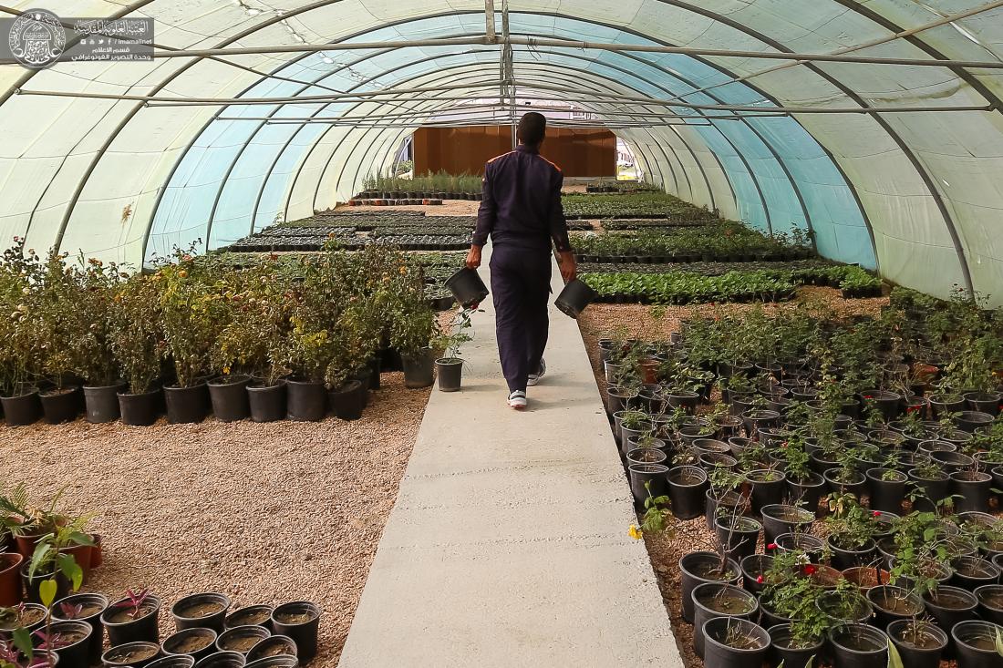 مشتل العتبة العلوية المقدسة.. خدمات تنافسية لخدمة مواطني النجف الأشرف | 