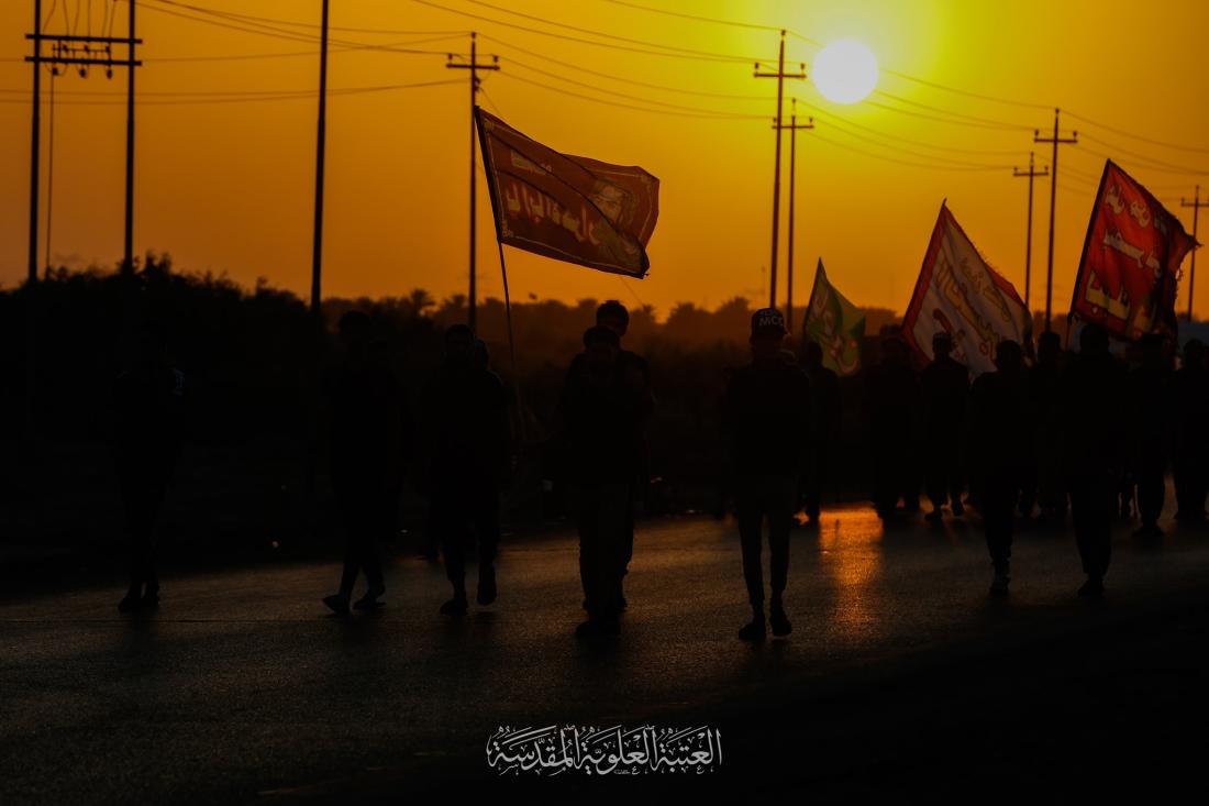 جحافل المسيرة الحسينية في محافظة الديوانية تواصل زحفها نحو كربلاء الإباء | 