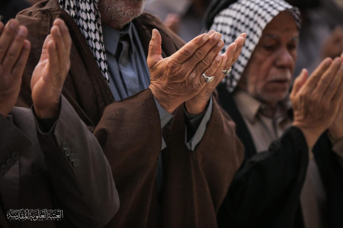 صلاة الجماعة في يوم الجمعة المبارك بمشاركة زائري حرم المولى أمير المؤمنين (سلام الله عليه) | 