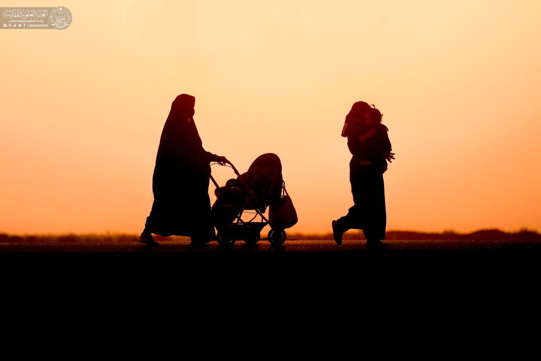 مشاهدٌ لا يمكن أن نراها إلاّ في طريق الأحرار طريق أبي عبد الله الحسين (عليه السلام) | 