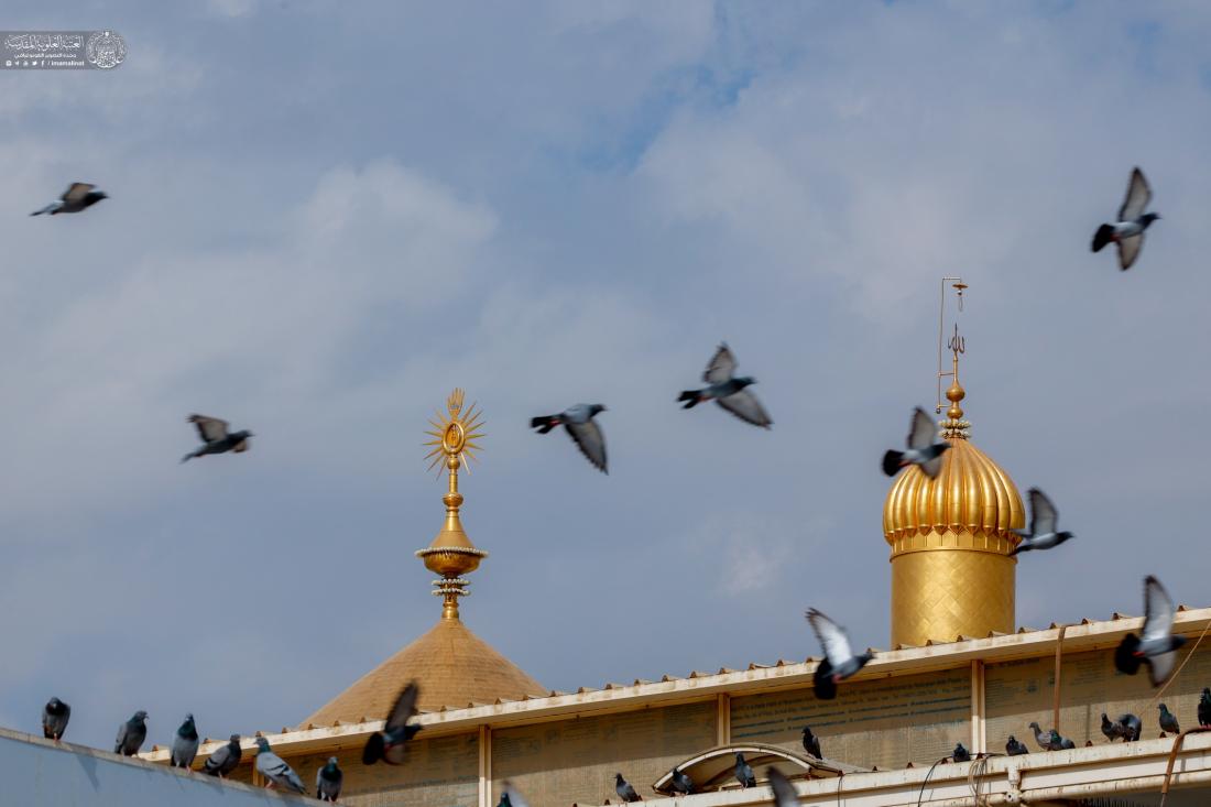 بالصور: قبة أمير المؤمنين (عليه السلام) وأروقة الصحن الحيدري وصحن السيدة الزهراء (سلام الله عليها) الشريفين | 
