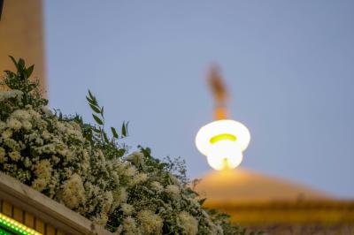 مرقد الامام علي 