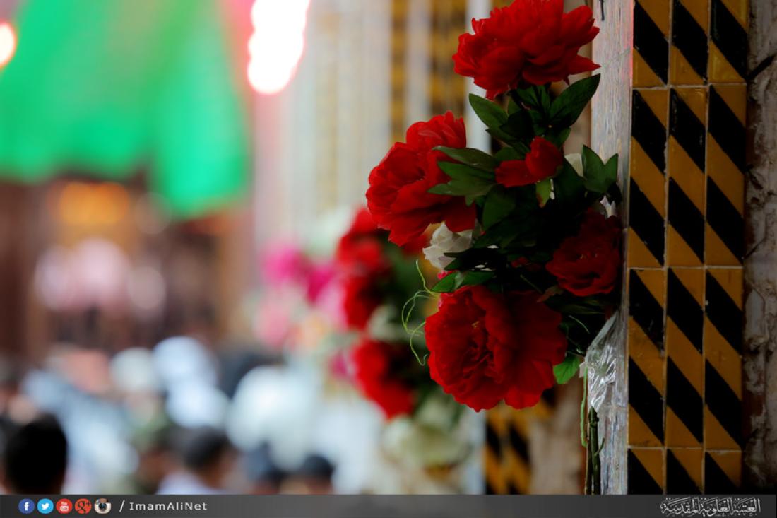 تقرير مصور : المؤمنون يحتفلون في ذكرى ولادة الامام المهدي عجل الله تعالى فرجه قي كربلاء المقدسه  | 