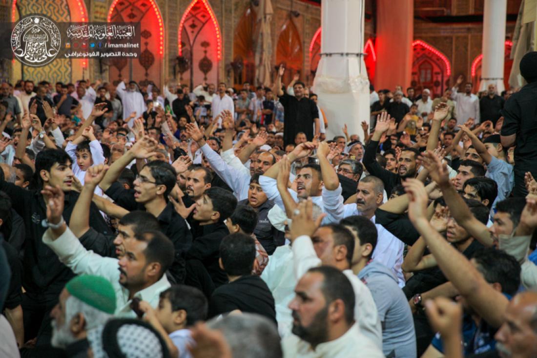 تقرير مصور : المواكب الحسينية تقيم المجالس  بذكرى شهادة الامام علي سلام الله علية في المرقد المطهر  | 