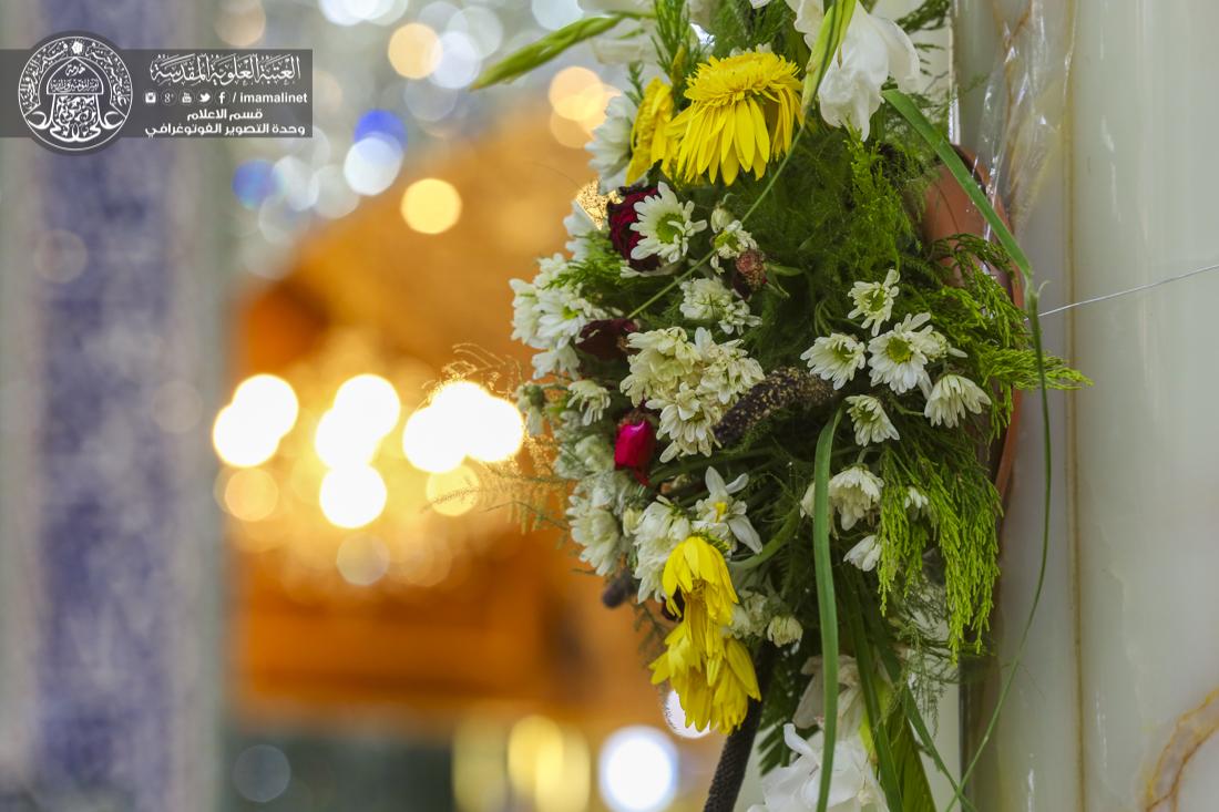 تقرير مصور : الاجواء الروحانية في ليلة ميلاد الامام الرضا سلام الله عليه في العتبة العلوية المقدسة | 