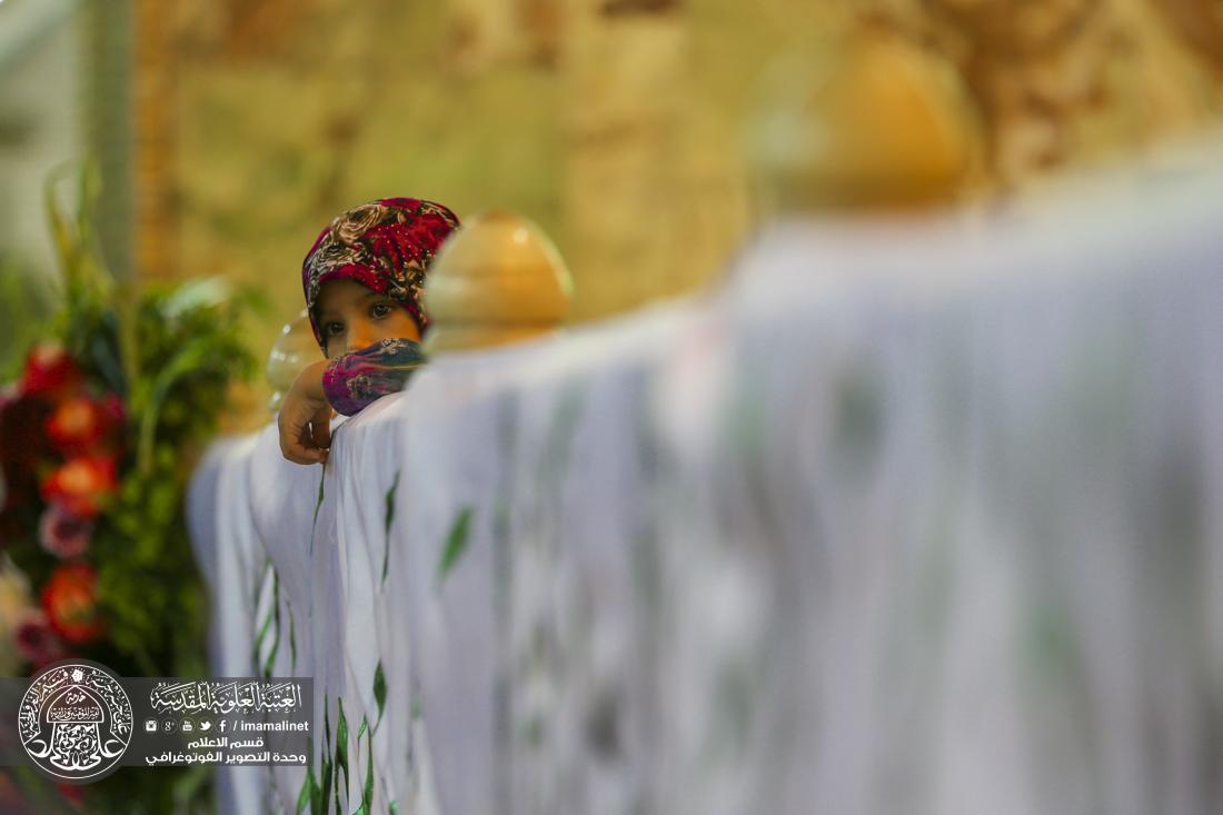 تقرير مصور : الاجواء الروحانية في ليلة ميلاد الامام الرضا سلام الله عليه في العتبة العلوية المقدسة | 