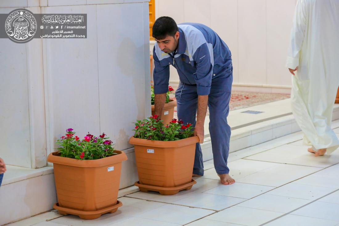 تقرير مصور : اكثر من 2000 ورده تزين المرقد الطاهر بمناسبة ذكرى عيد الغدير الاغر  | 