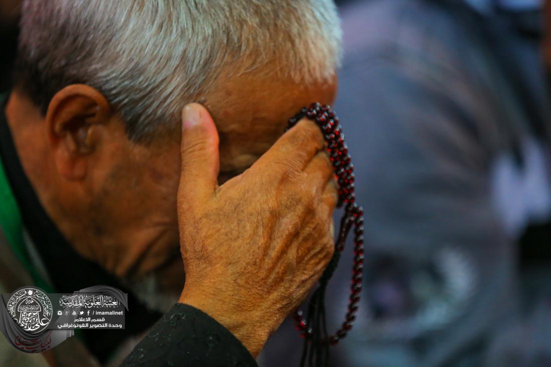 تقرير مصور : الزوار الاجانب في العتبة العلوية المقدسة | 