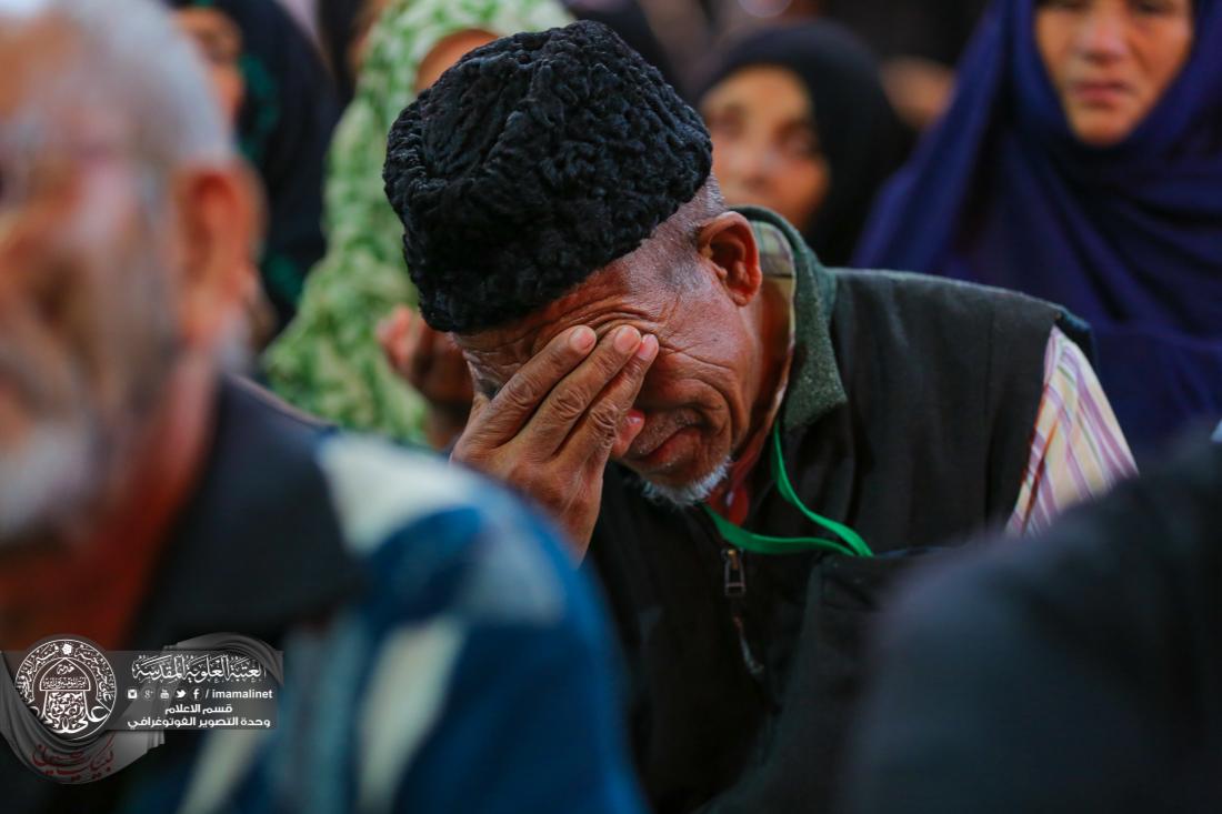 تقرير مصور : الزوار الاجانب في العتبة العلوية المقدسة | 