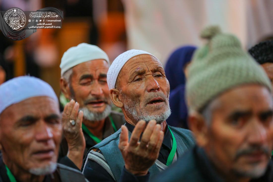 تقرير مصور : الزوار الاجانب في العتبة العلوية المقدسة | 