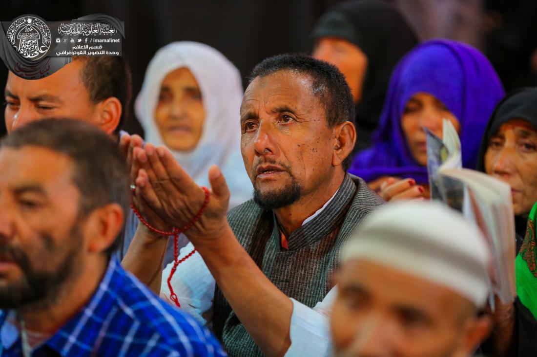 تقرير مصور : الزوار الاجانب في العتبة العلوية المقدسة | 