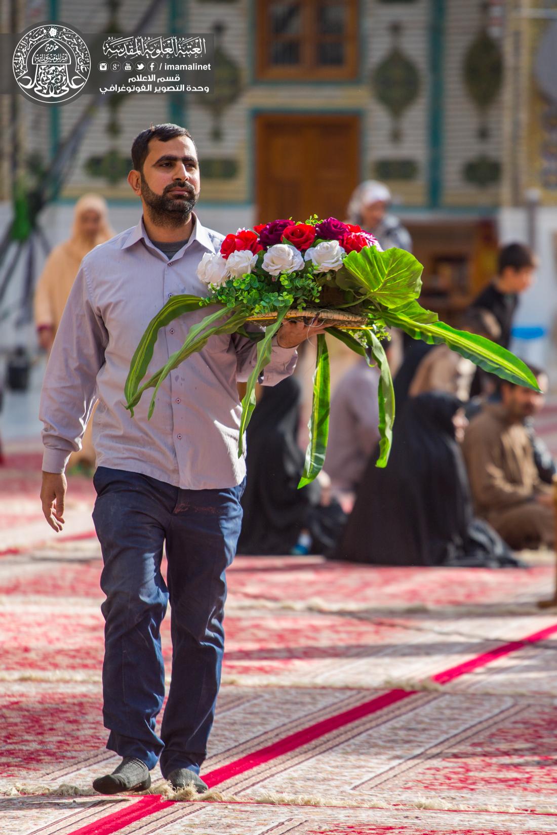 تقرير مصور : تزيين الحرم المطهر بالورود أستقبالاً لمولد النبي الاكرم محمد (صلى الله عليه وآله وسلم) | 