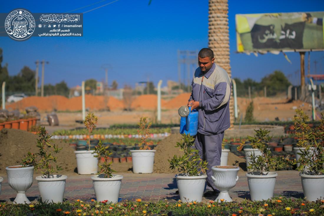 تقرير مصور : مشتل العتبة العلوية المقدسة  | 