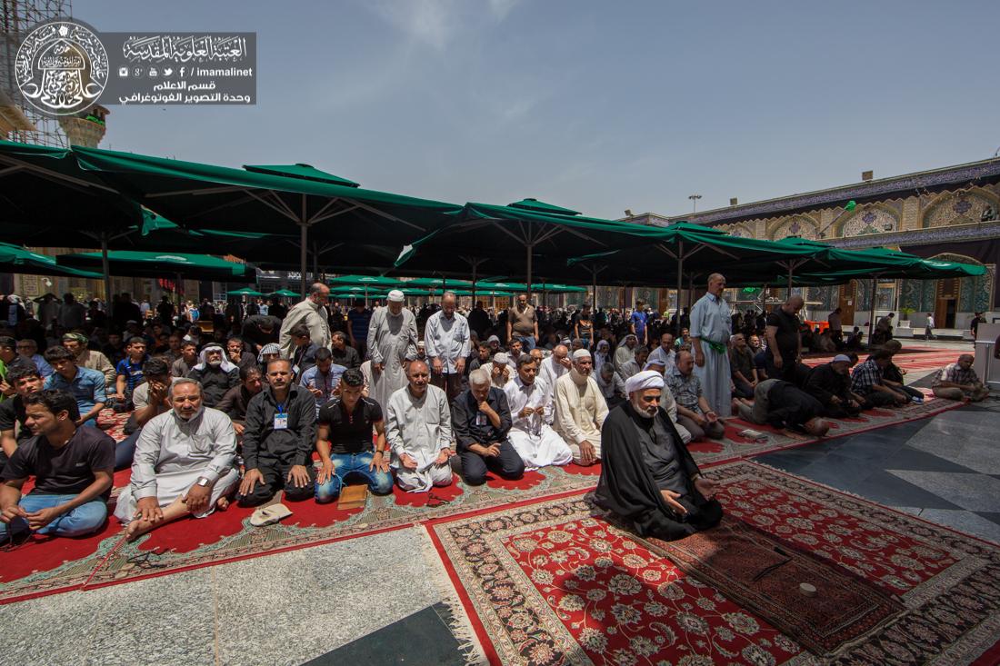 باب الحوائج عليه السلام ... مهوى قلوب المحبين | 