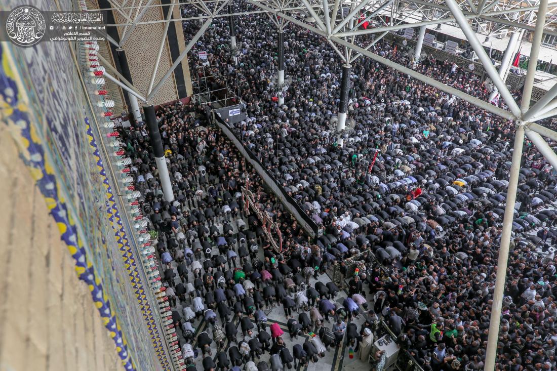 حشود زائري الاربعين يحيون  صلاة الجماعة في حرم امير المؤمنين عليه السلام  | 