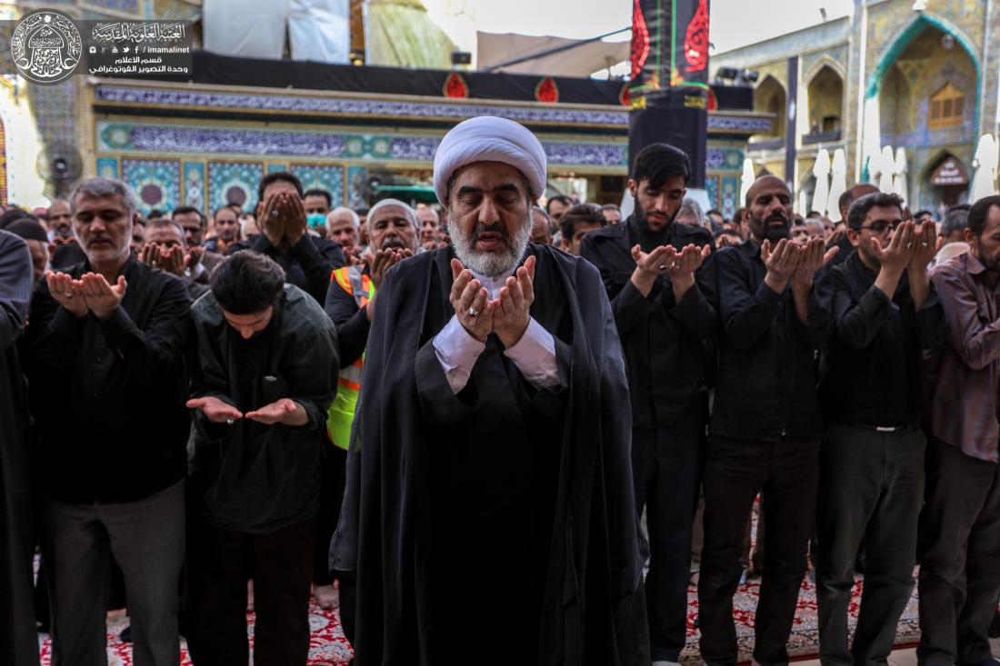 حشود زائري الاربعين يحيون  صلاة الجماعة في حرم امير المؤمنين عليه السلام  | 