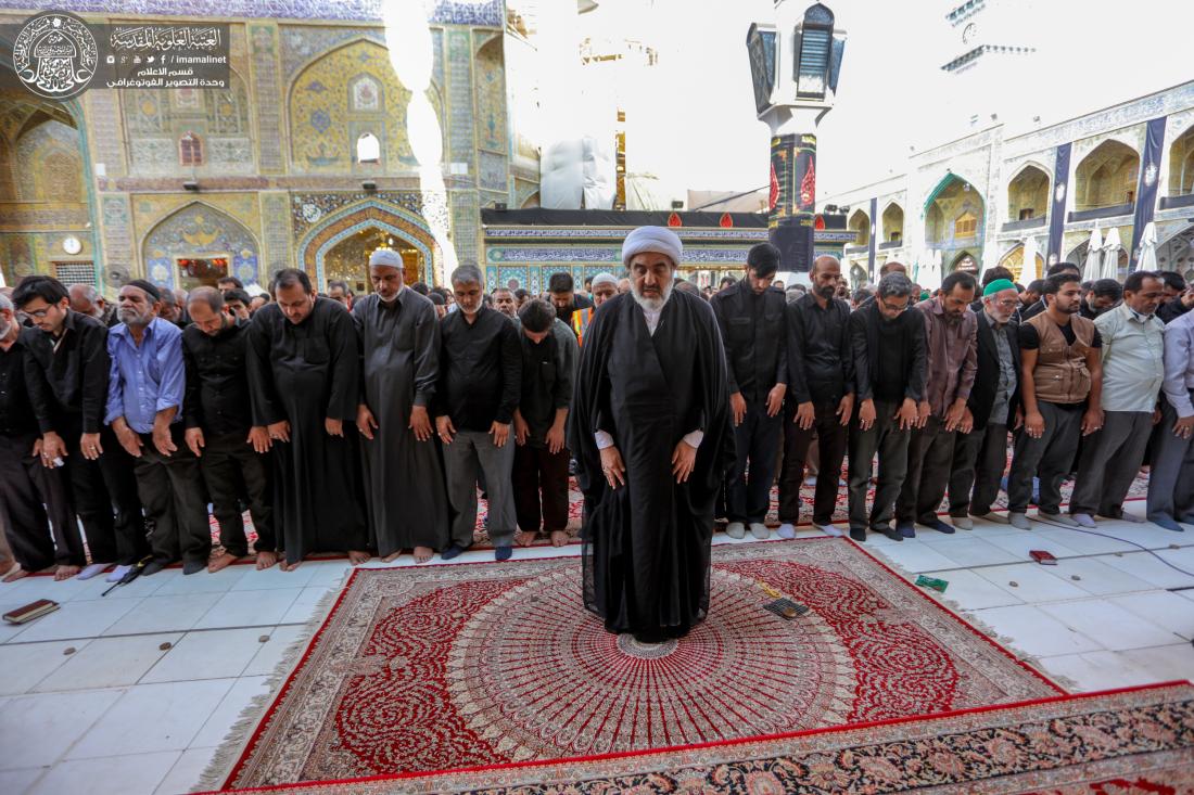 حشود زائري الاربعين يحيون  صلاة الجماعة في حرم امير المؤمنين عليه السلام  | 