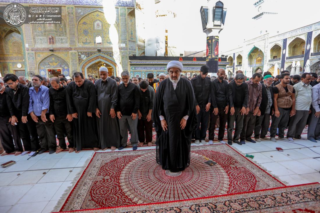 حشود زائري الاربعين يحيون  صلاة الجماعة في حرم امير المؤمنين عليه السلام  | 