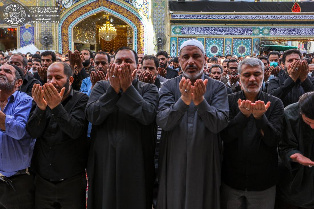 حشود زائري الاربعين يحيون  صلاة الجماعة في حرم امير المؤمنين عليه السلام  | 