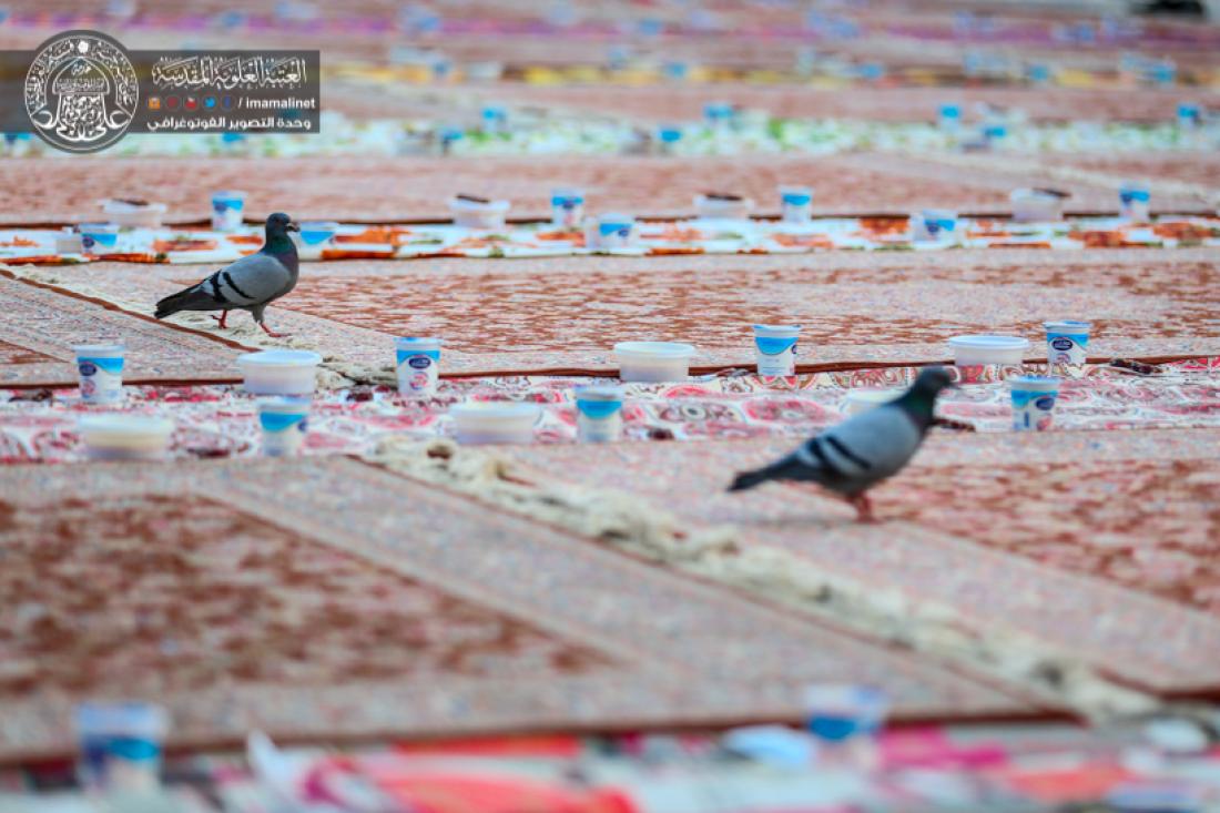 تقرير مصور : مضيف الامام امير المؤمنين سلام الله عليه يقيم وجبة افطار الى الزائرين الكرام  بقرب الحرم المطهر  | 