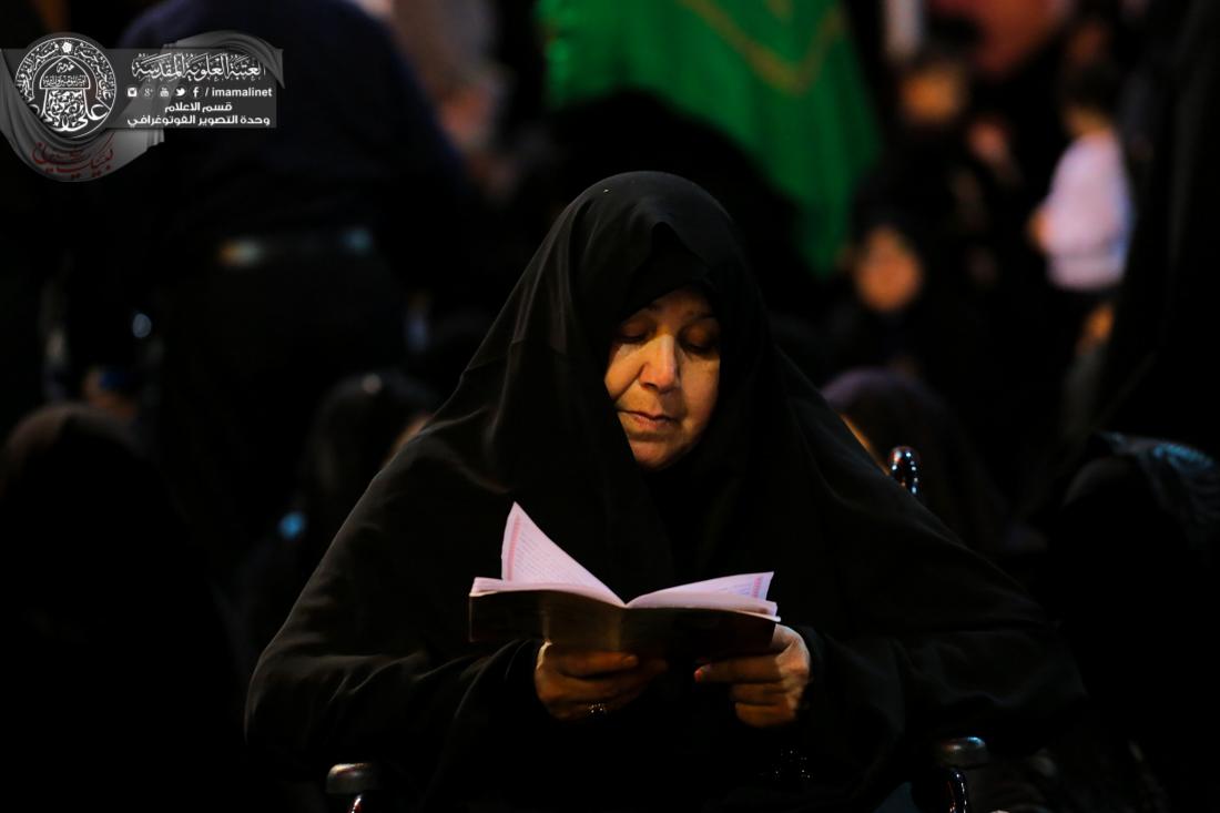 تقرير مصور : الزوار الاجانب في العتبة العلوية المقدسة | 