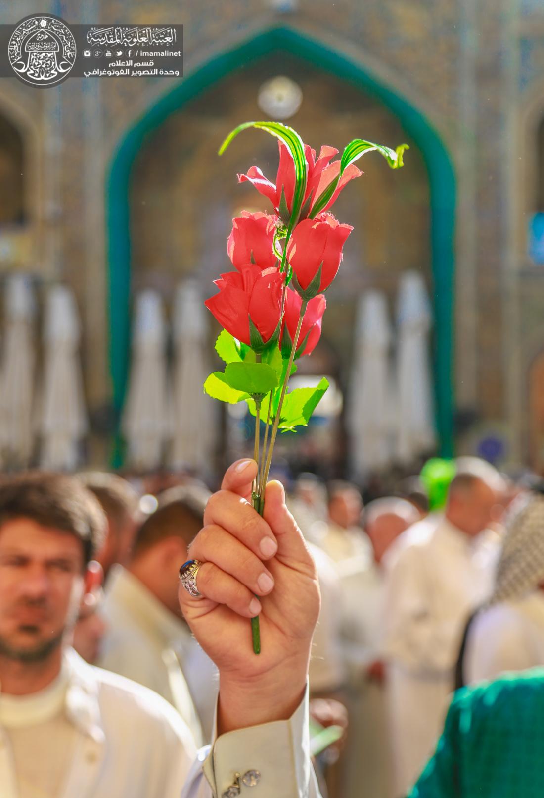 الجموع المليونية تجدد عهد الولاء لوصي النبوة امير المؤمنين عليه السلام | 