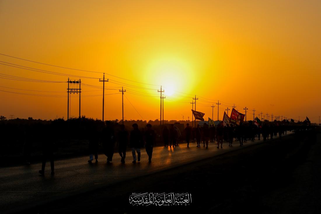 جحافل المسيرة الحسينية في محافظة الديوانية تواصل زحفها نحو كربلاء الإباء | 