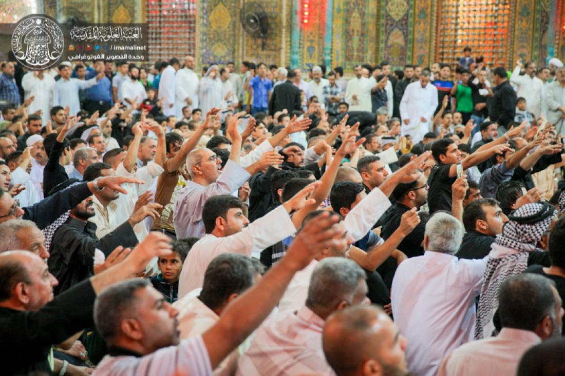 تقرير مصور : المواكب الحسينية تقيم المجالس  بذكرى شهادة الامام علي سلام الله علية في المرقد المطهر  | 