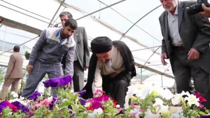 الامانة العامة تقوم بتشجير وزرع آلاف من الزهور في مدينة النجف الاشرف بمناسبة ولادة الزهراء (ع)